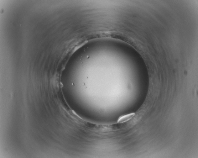 X0000066080768200603171030