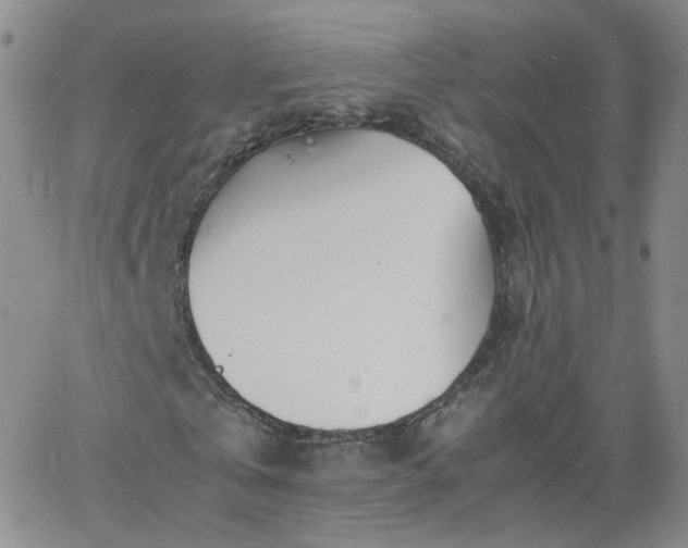 X0000066080769200603171029