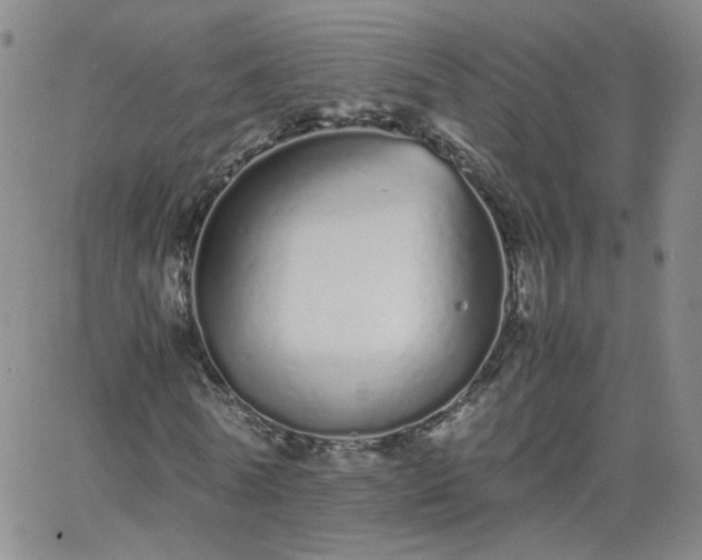 X0000066080770200603171029