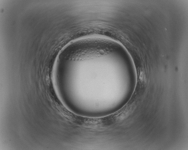 X0000066080771200603171029