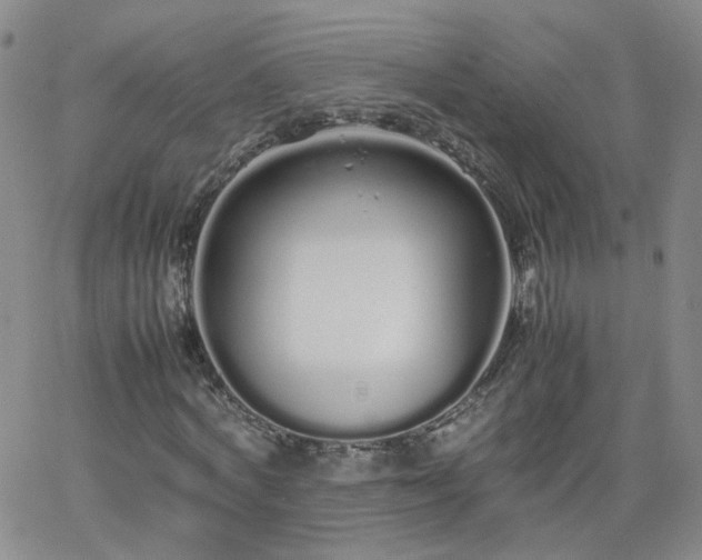 X0000066080772200603171029