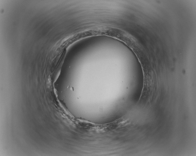 X0000066080773200603171029