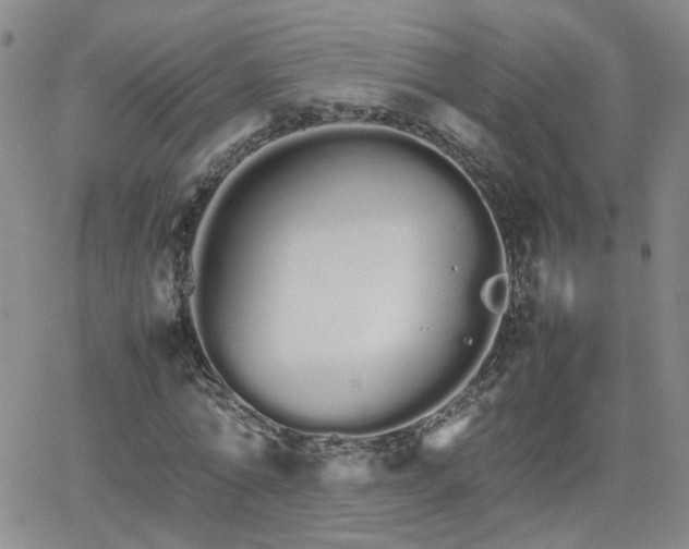 X0000066080774200603171029