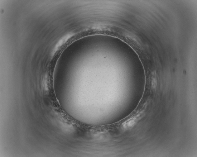 X0000066080776200603171029