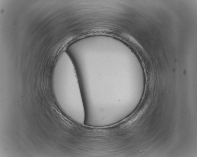 X0000066080777200603171029