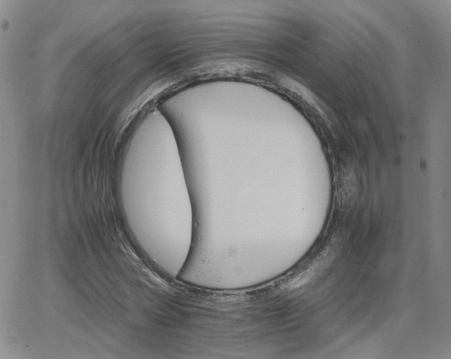 X0000066080778200603171029