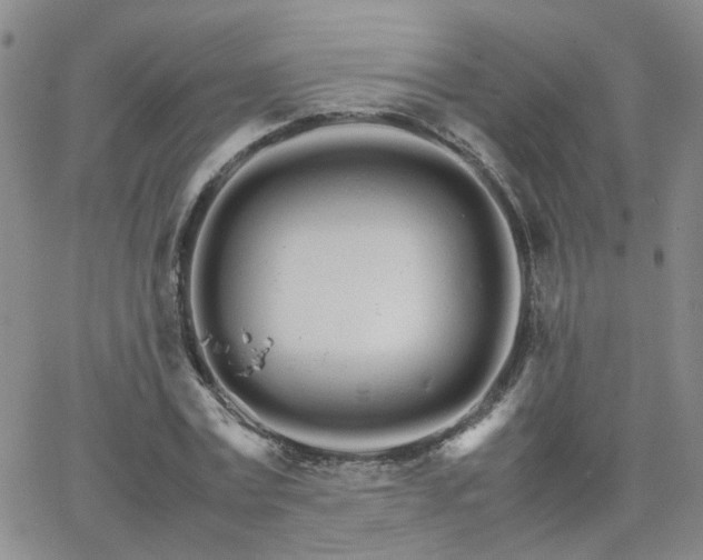 X0000066080779200603171029