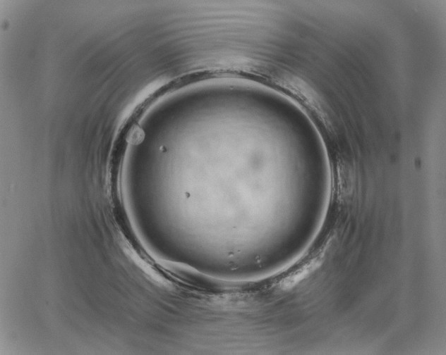 X0000066080780200603171029