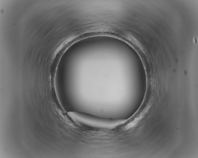 X0000066080781200603171029