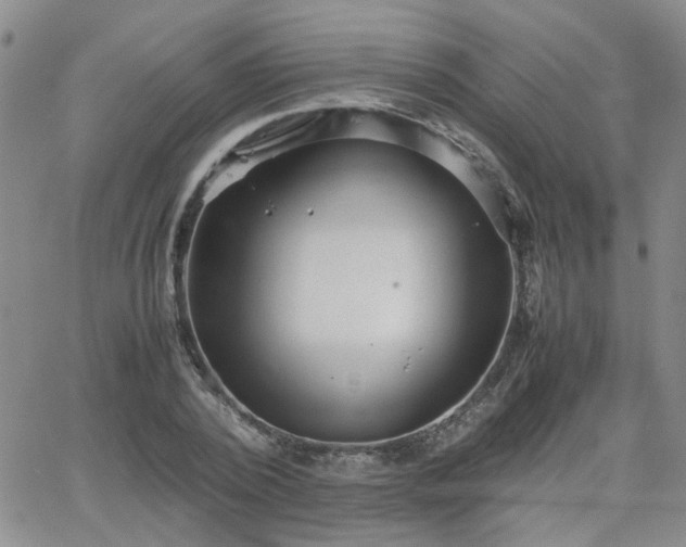 X0000066080784200603171029