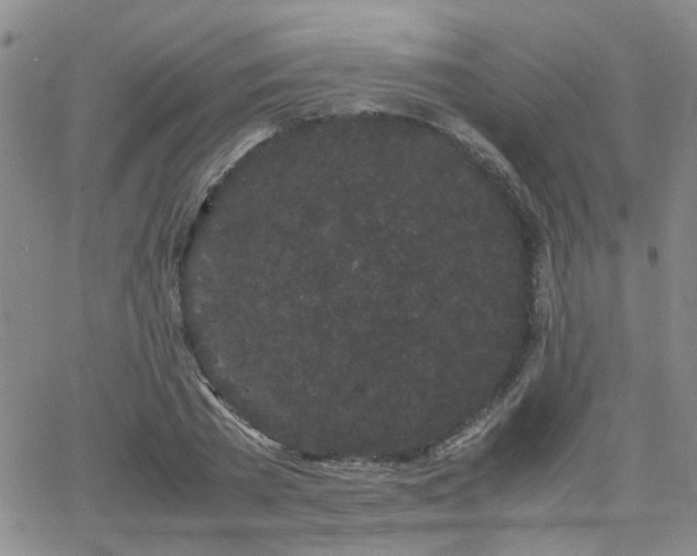 X0000066080785200603171029