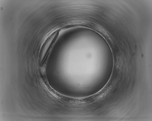 X0000066080786200603171029