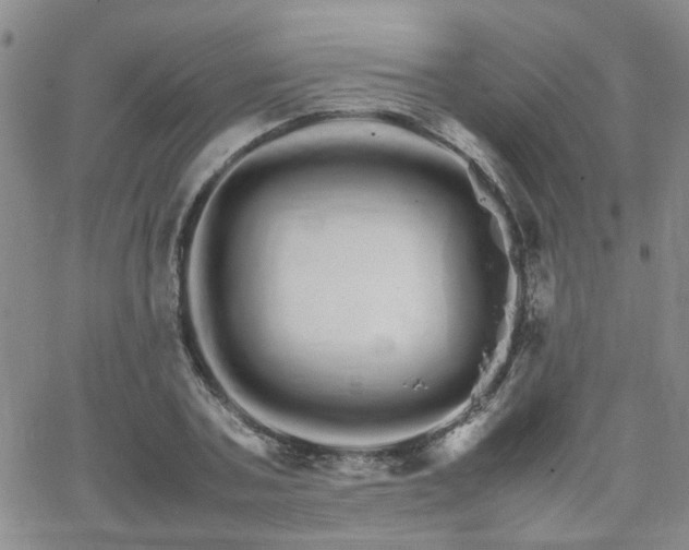 X0000066080787200603171029