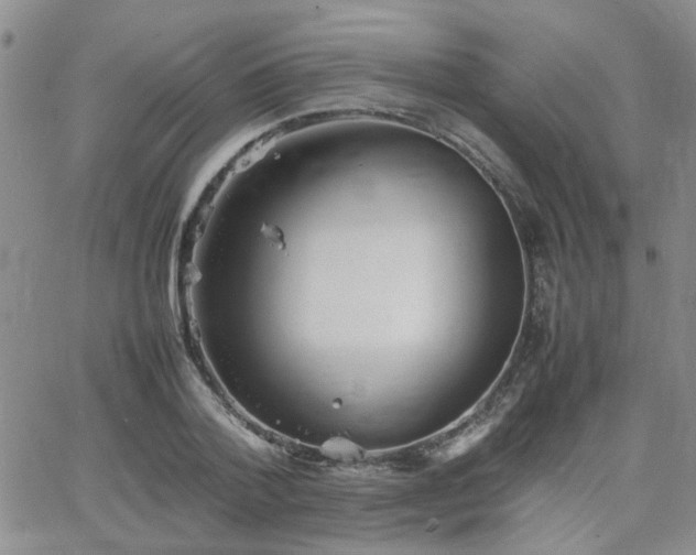 X0000066080788200603171029