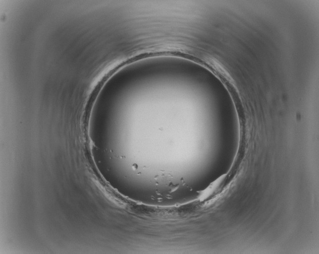 X0000066080789200603171029