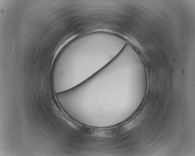 X0000066080790200603171029