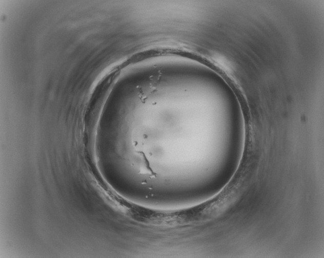 X0000066080791200603171029