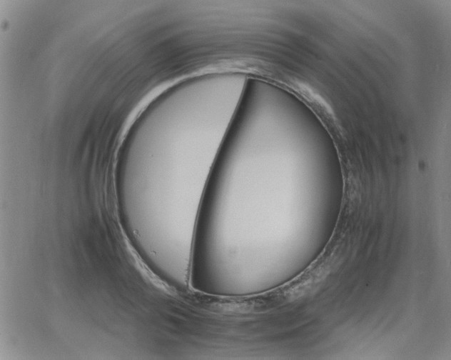 X0000066080792200603171029