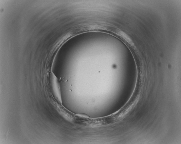 X0000066080793200603171029