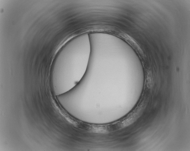 X0000066080794200603171029