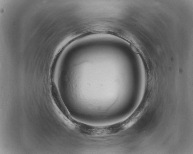 X0000066080795200603171029