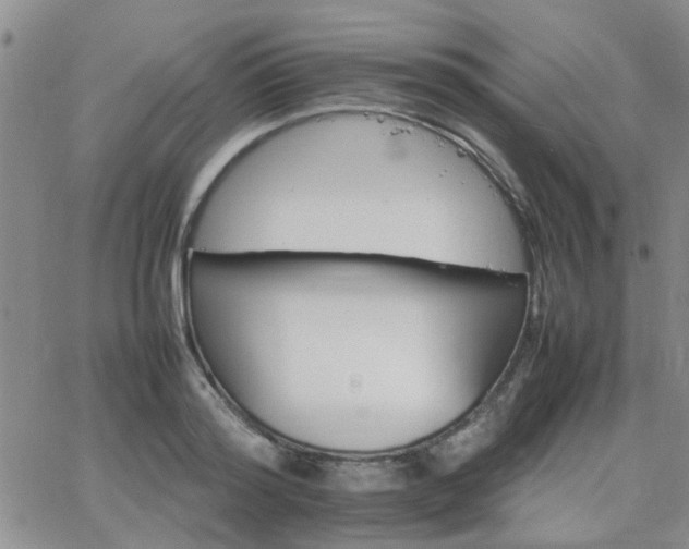 X0000066080796200603171029