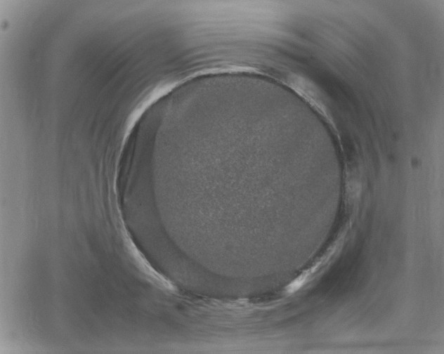 X0000066080797200603171029