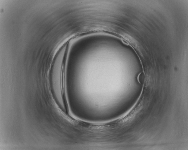 X0000066080798200603171029