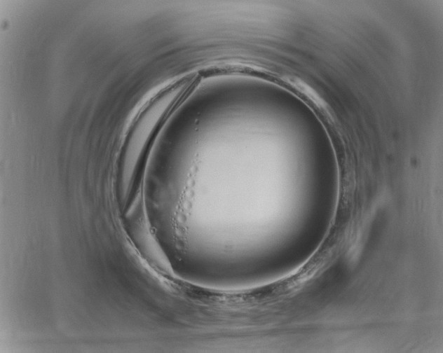 X0000066080799200603171029