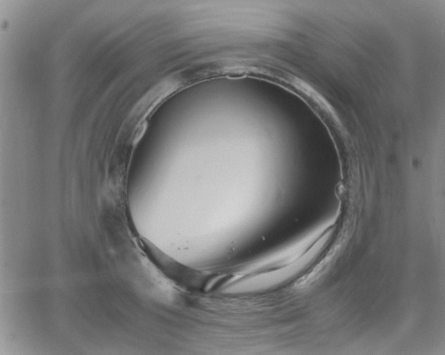 X0000066080801200603171029