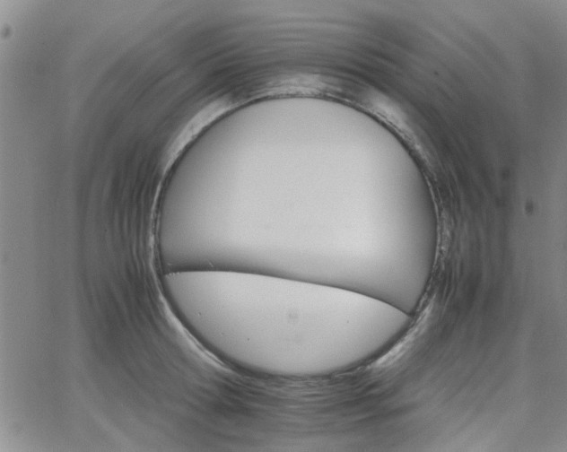 X0000066080802200603171029