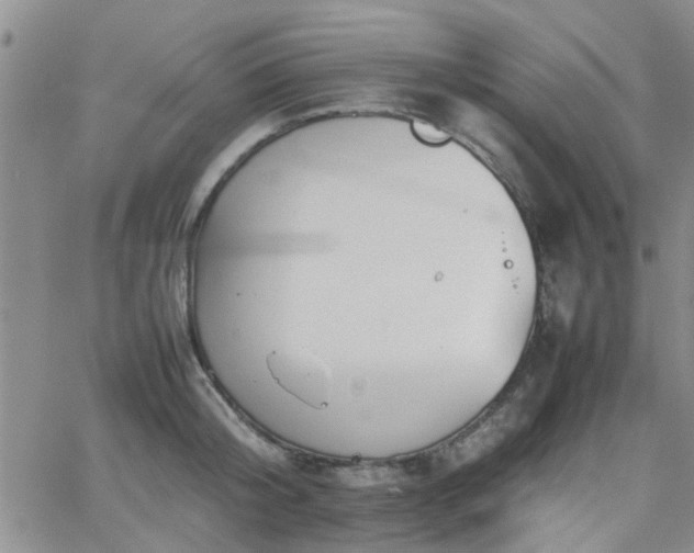 X0000066080804200603171029