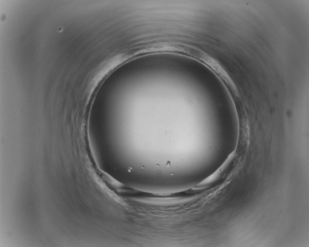 X0000066080805200603171029