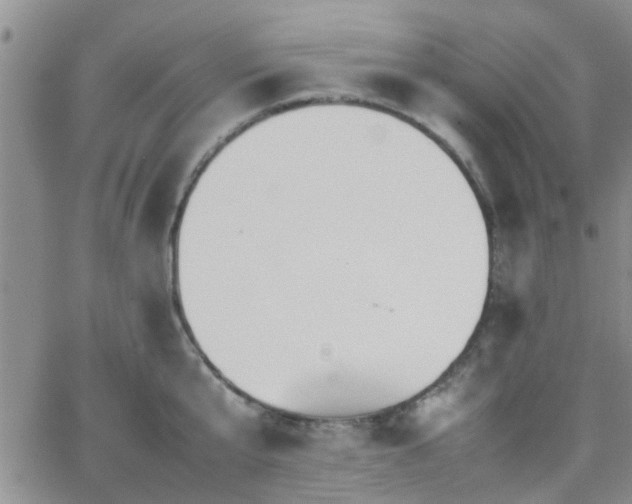 X0000066080807200603171029