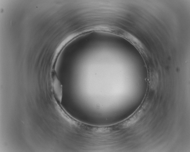 X0000066080808200603171029