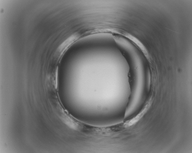 X0000066080809200603171029