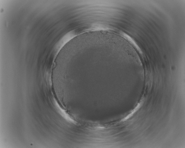 X0000066080810200603171029