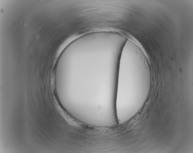 X0000066080811200603171029