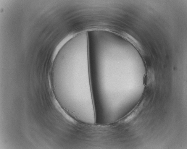 X0000066080812200603171029