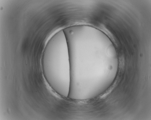 X0000066080814200603171029