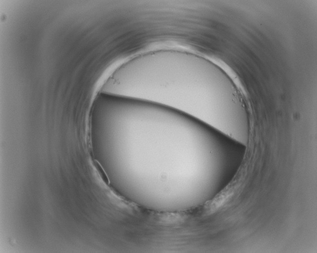 X0000066080815200603171029