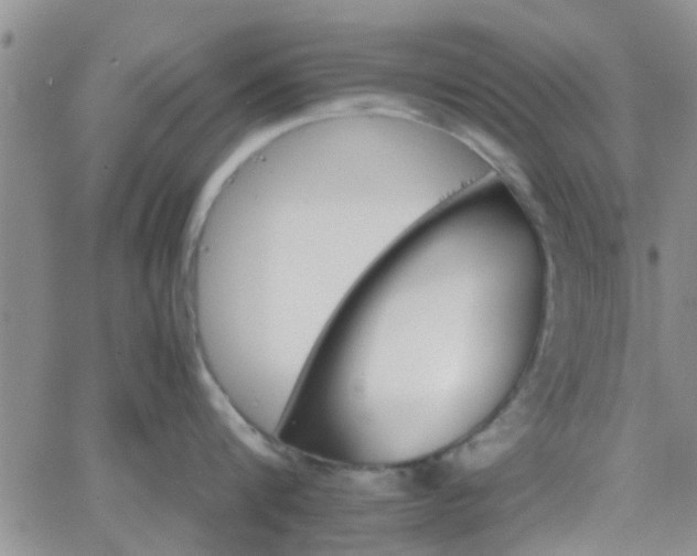 X0000066080816200603171029