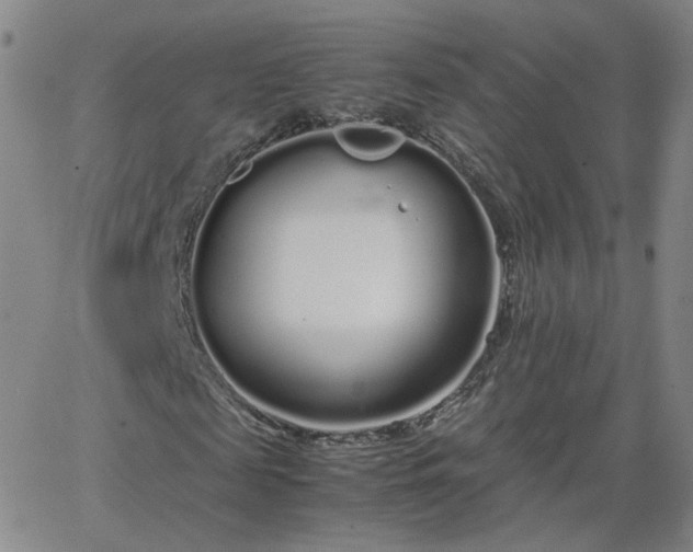 X0000066080817200603171028