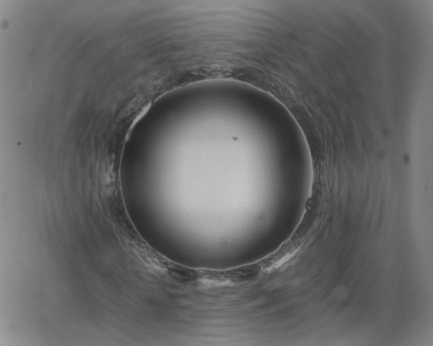 X0000066080818200603171028