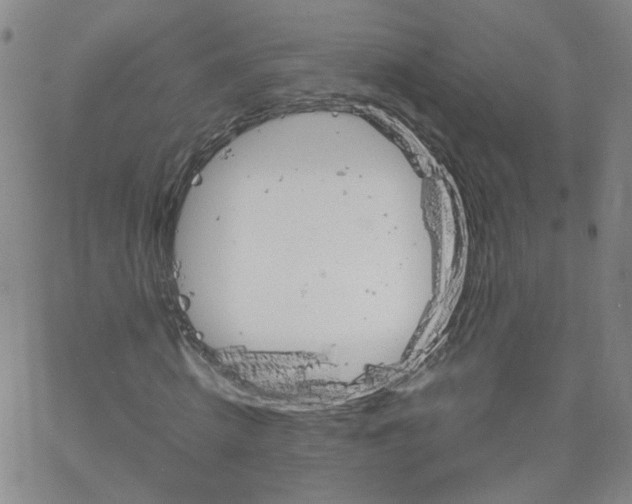 X0000066080820200603171028