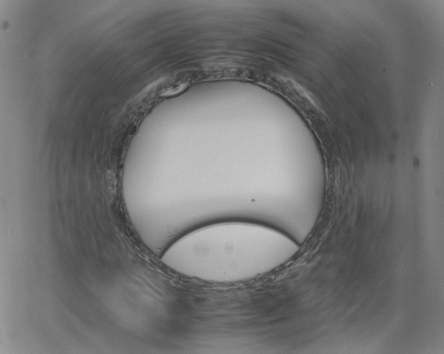 X0000066080821200603171028