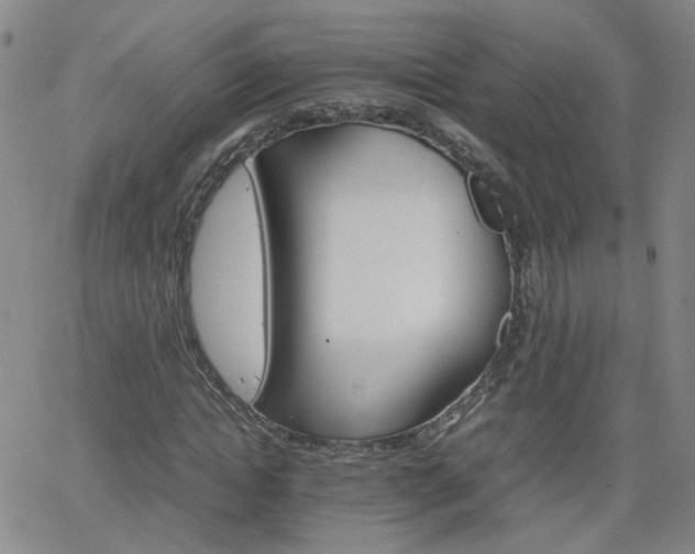 X0000066080822200603171028