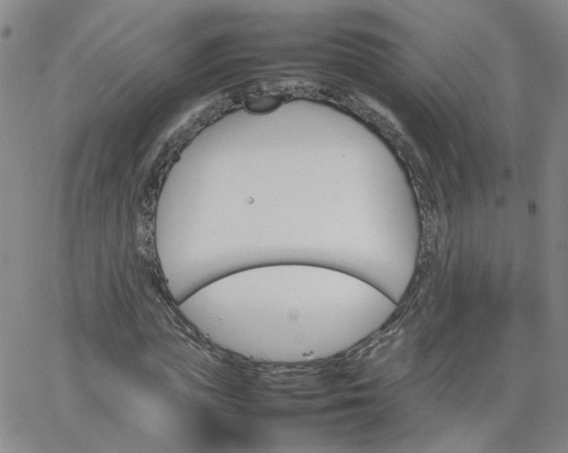 X0000066080823200603171028