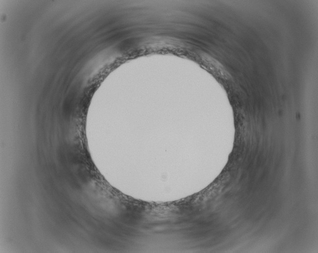 X0000066080824200603171028