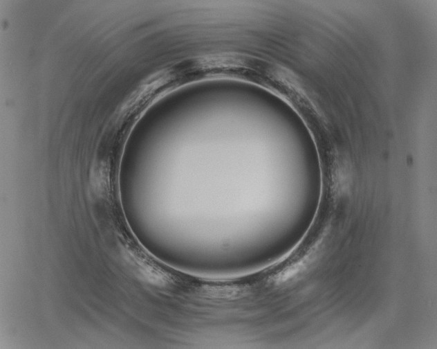 X0000066080825200603171028